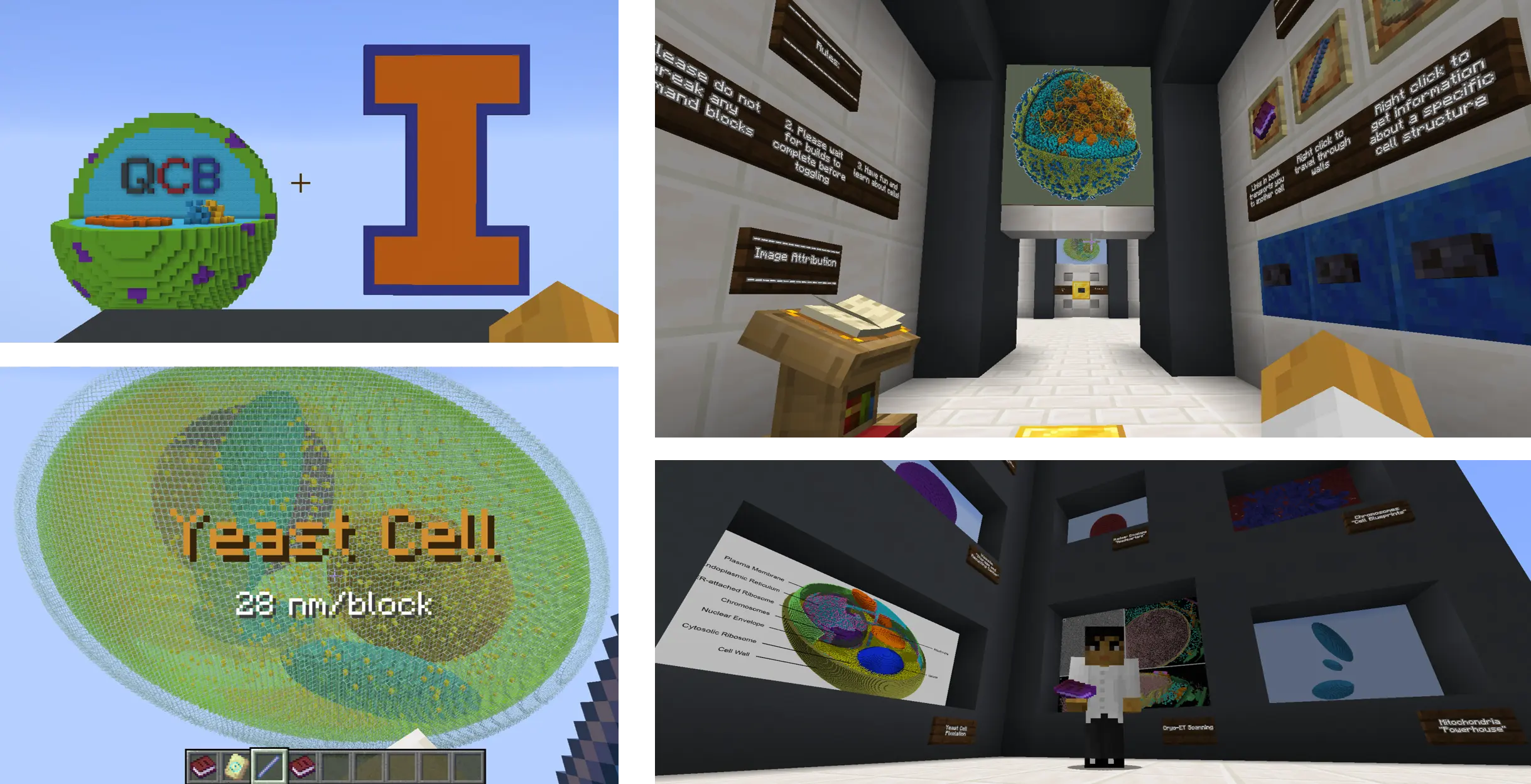 Cell Museum