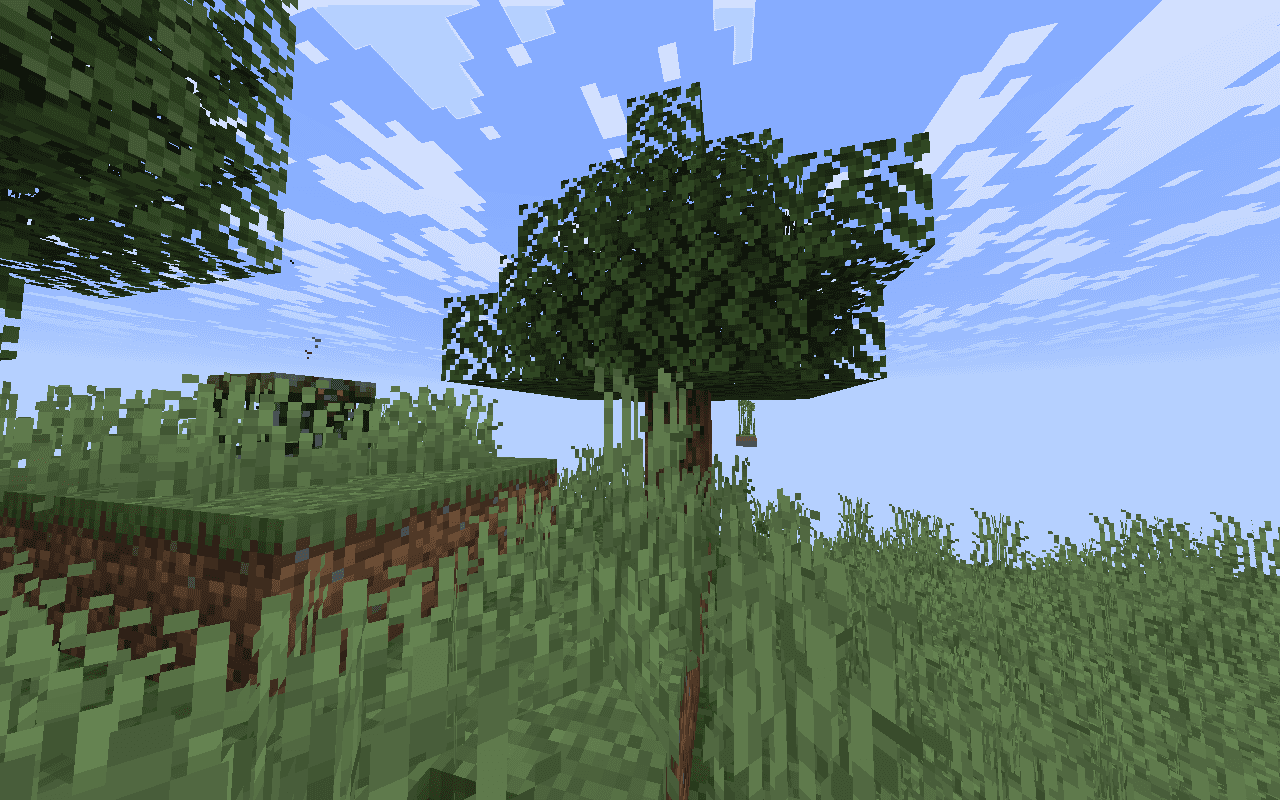 Path Craft