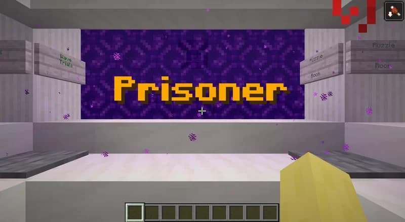 Prisoner