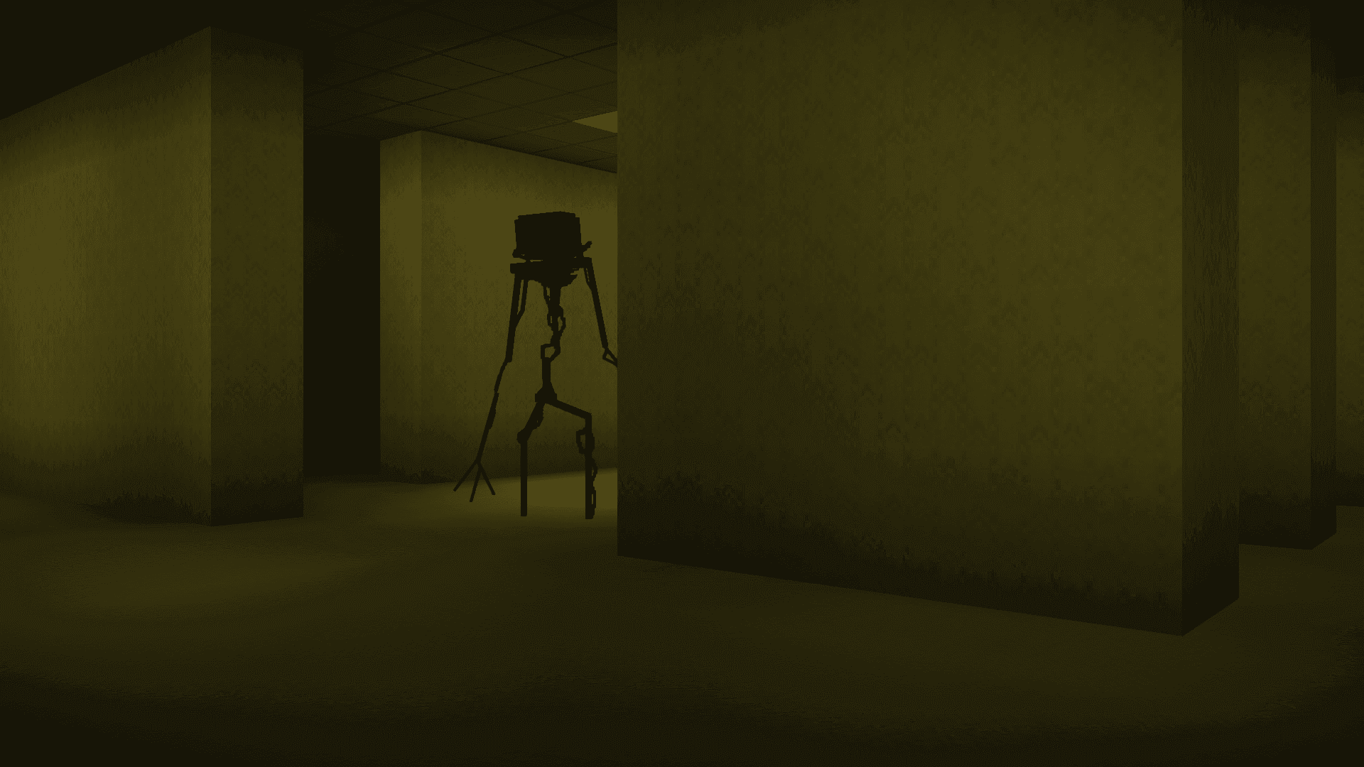 The Backrooms (Found Footage)