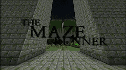 The Maze Runner